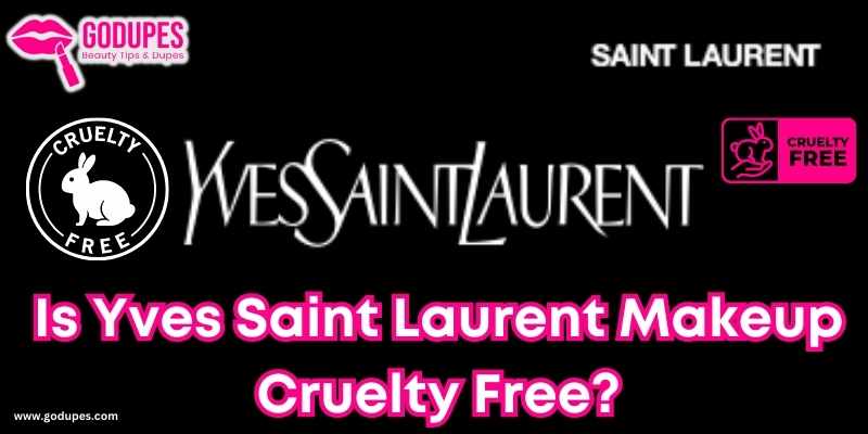Is Yves Saint Laurent Makeup Cruelty Free? True Ethical Analysis